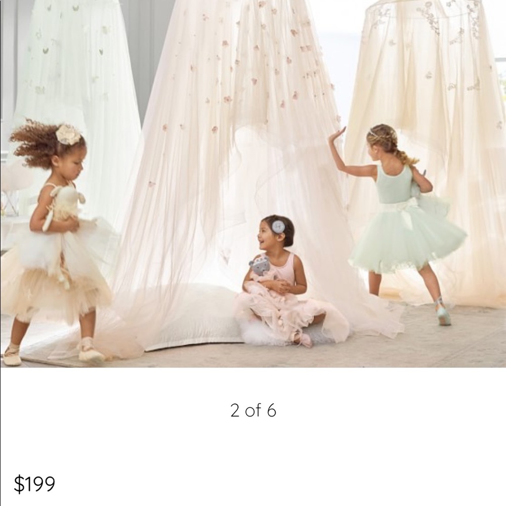 Pottery Barn Monique Lhuiller Tulle Canopy